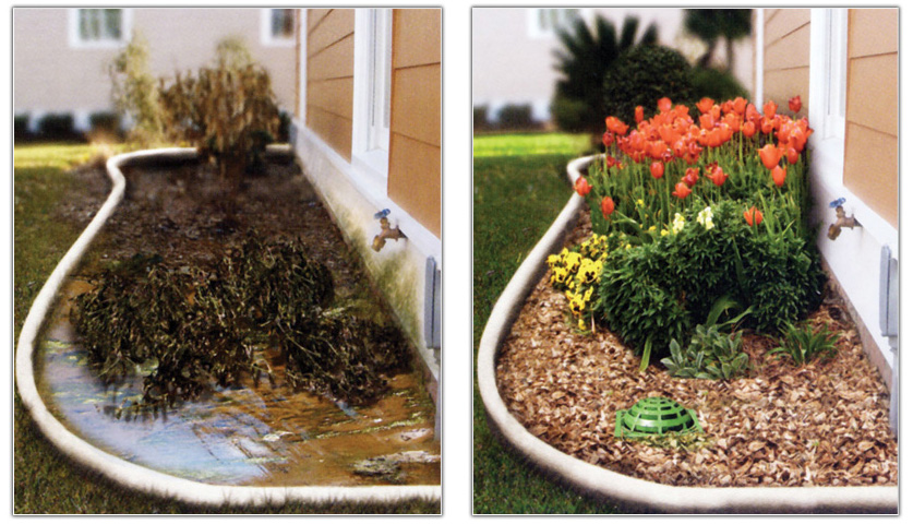 Tree and shrub planting Sugar Land TX