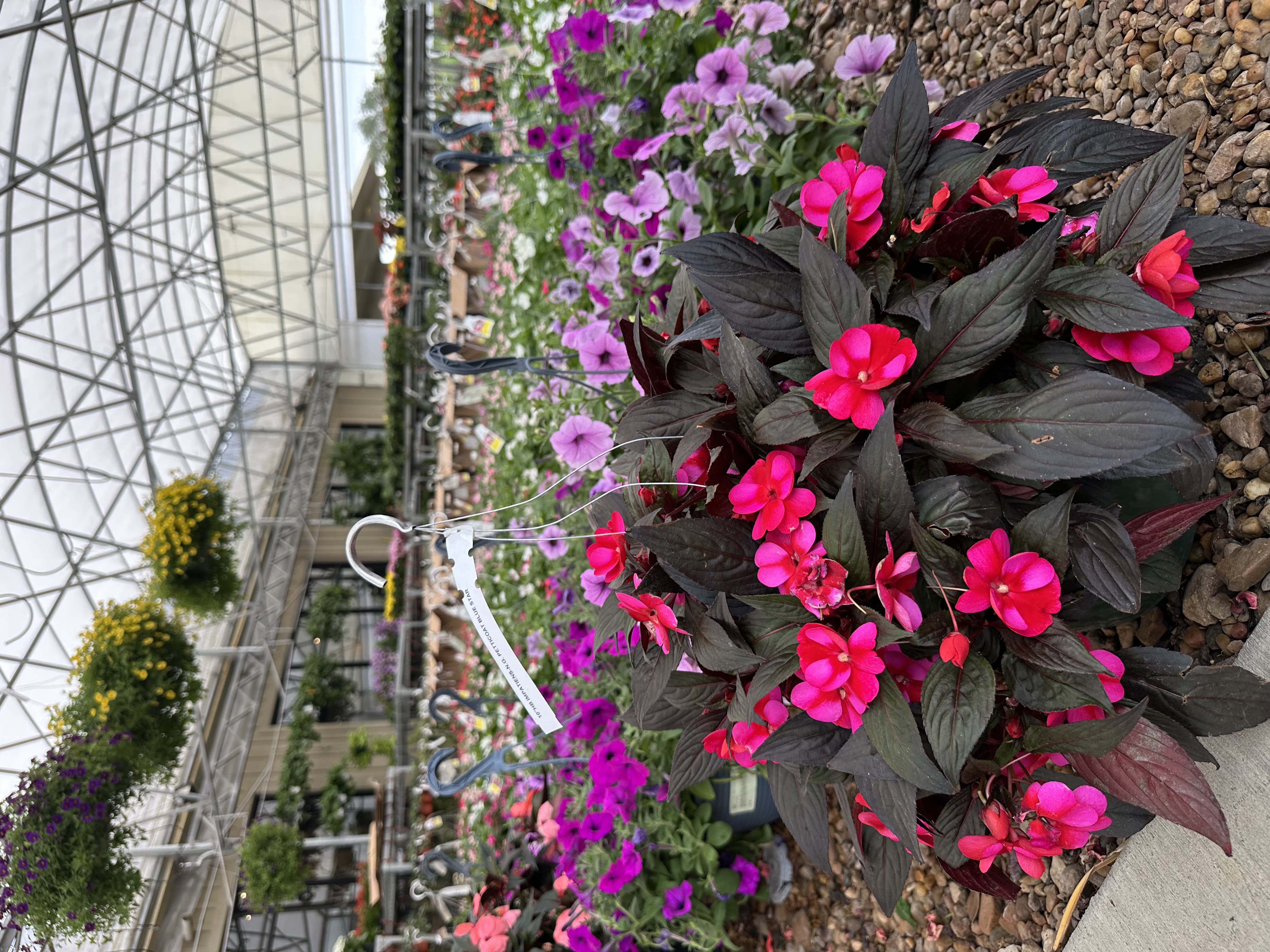 Outdoor planting design League City TX