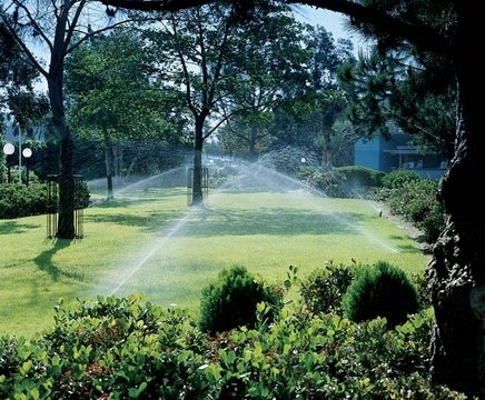 Landscape design Pearland TX