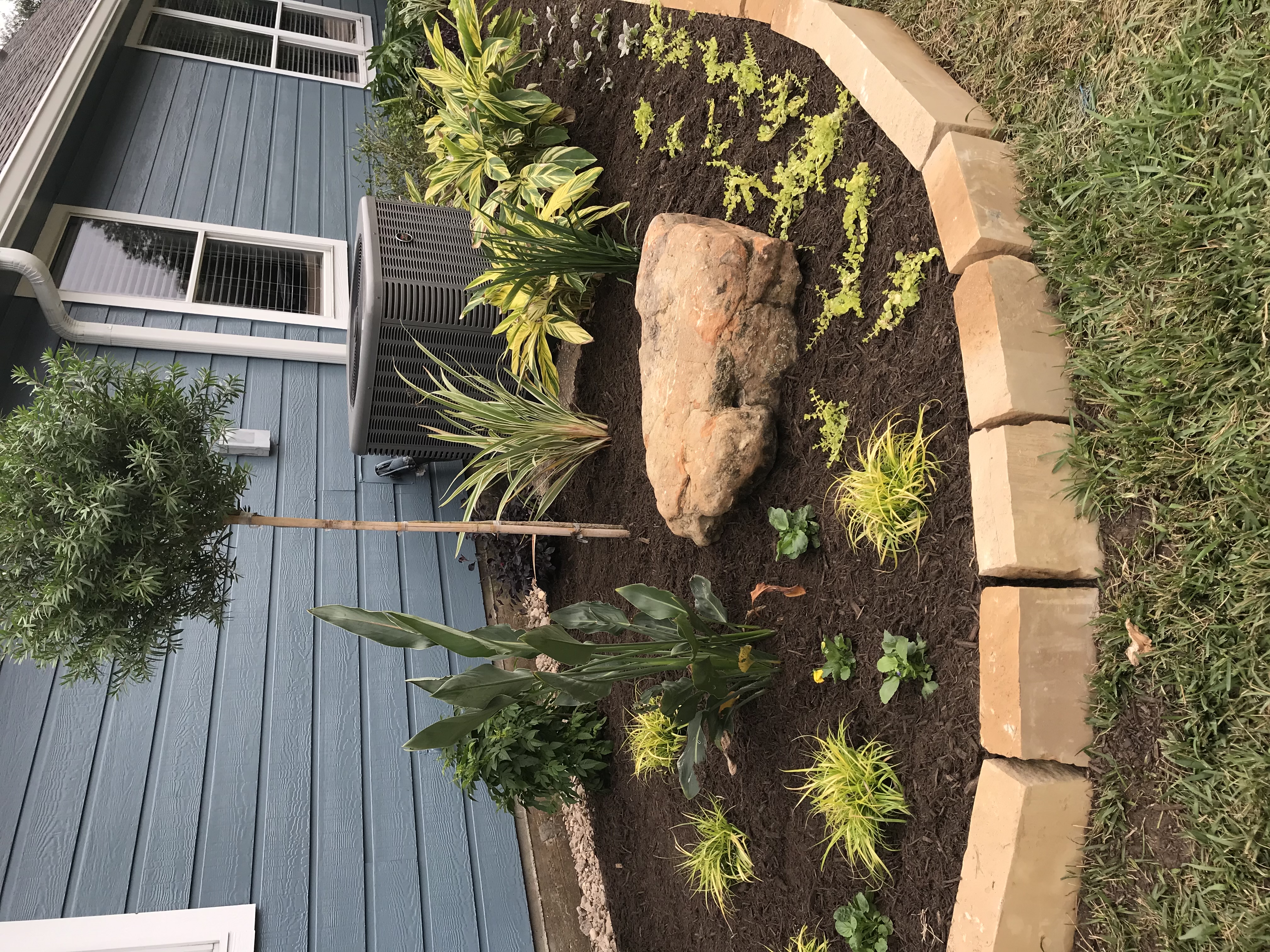 Landscape project Houston TX
