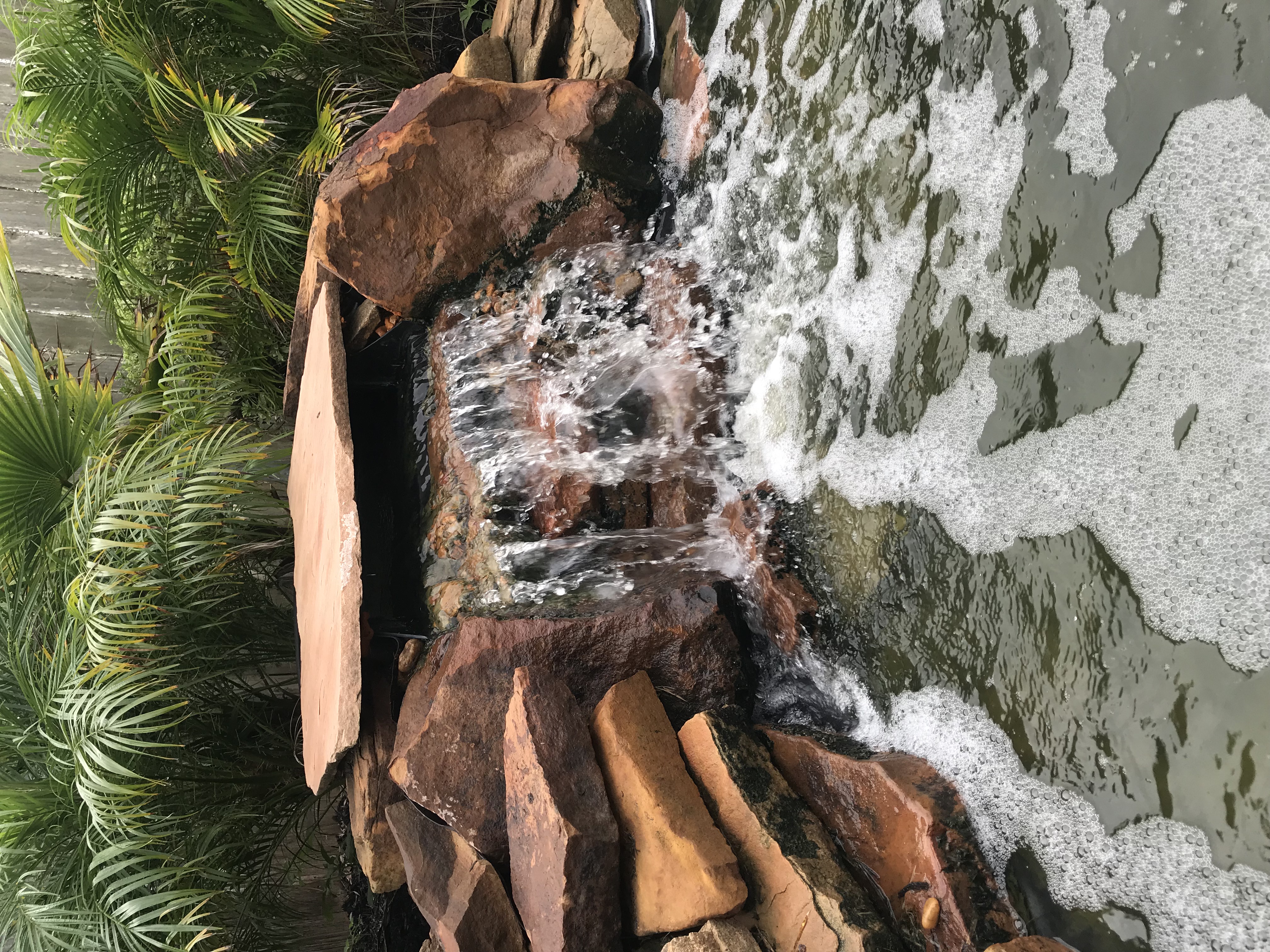 Custom pond and waterfall Greater Houston TX